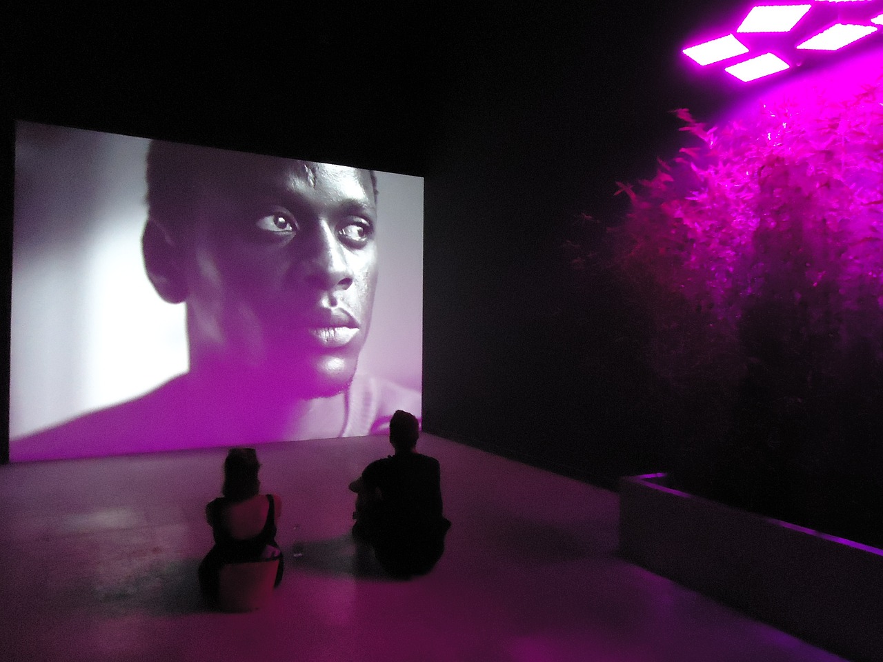 最新首映網(wǎng)，引領觀影潮流，打造電影愛好者首選平臺