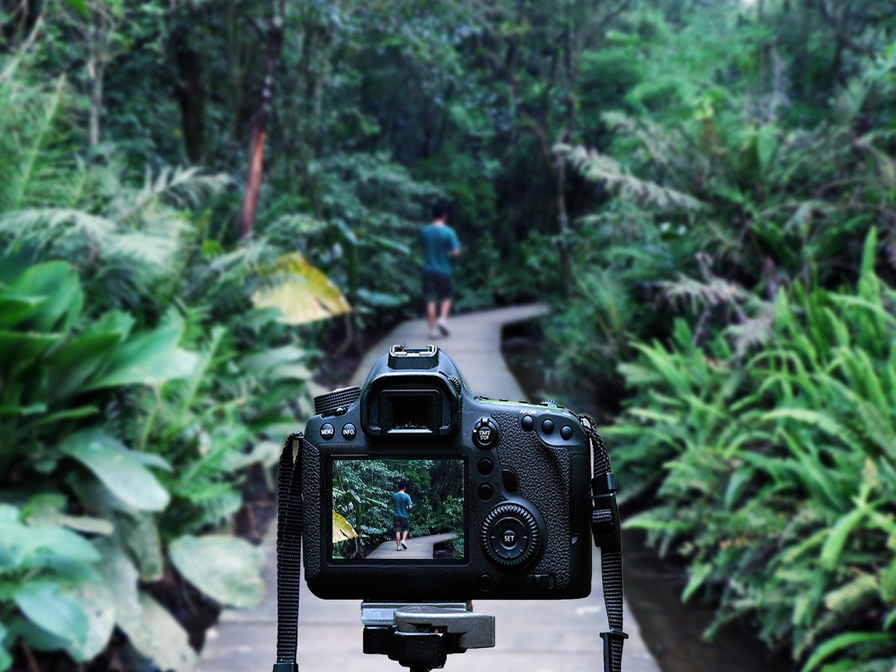 華晨宇最新動態(tài)，音樂之旅開啟新篇章