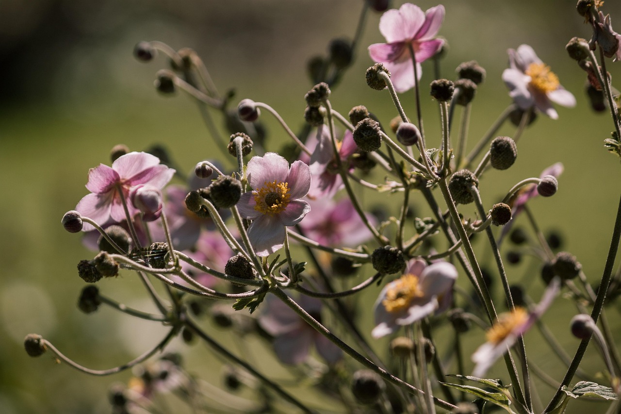 最新獲取信息資源及其影響，探索前沿領(lǐng)域的最新動(dòng)態(tài)