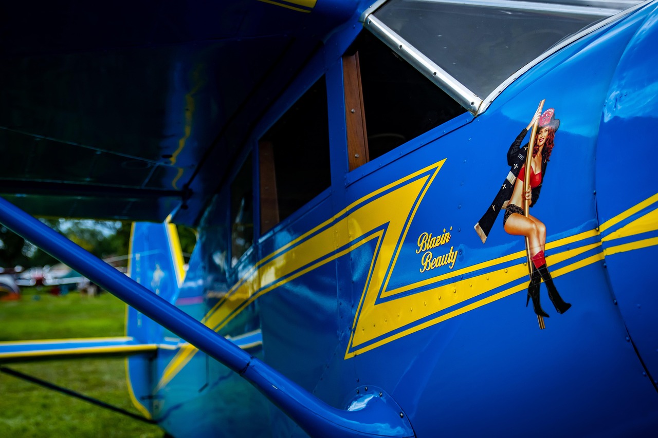 革新觀影體驗(yàn)，最新視頻app帶你飛！