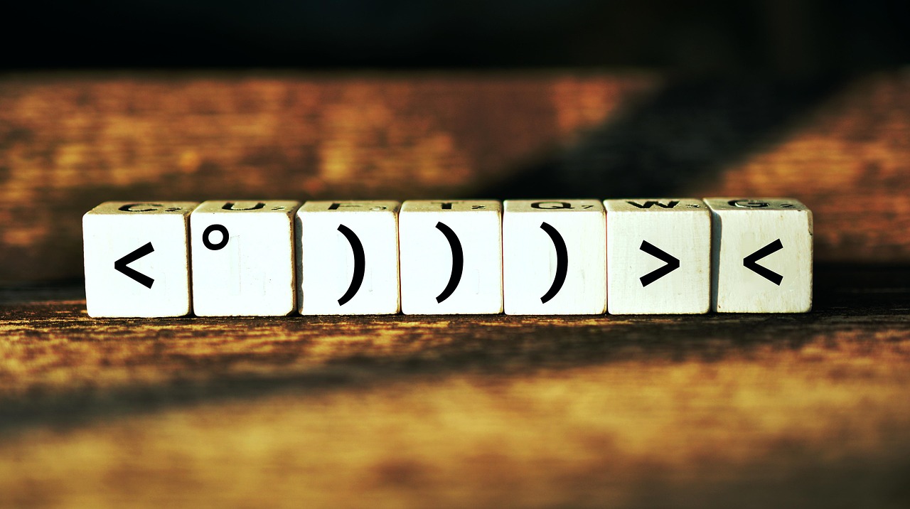 揭秘武警最新肩章，榮譽與職責的象征標志