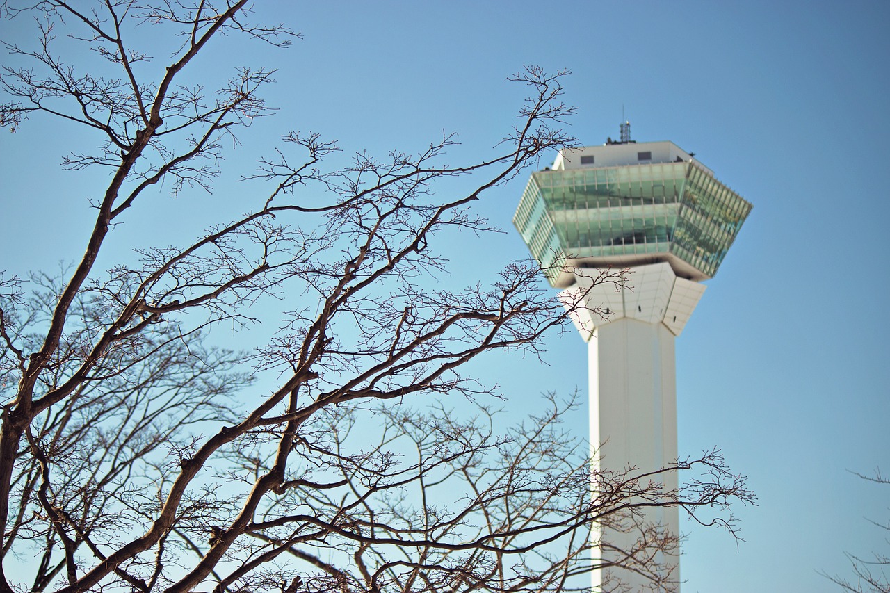 決斗之城最新動(dòng)態(tài)，新時(shí)代卡牌競(jìng)技盛宴揭秘